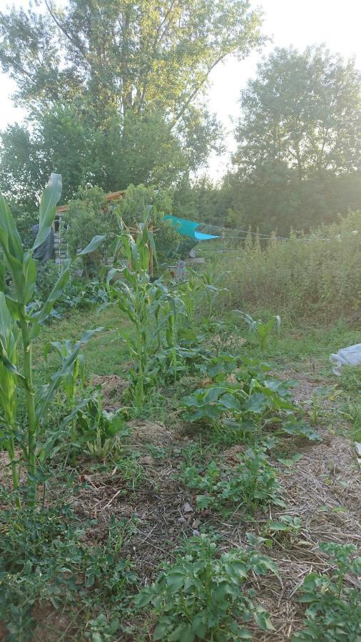 Tente En Permaculture Pirate Creysse  Екстер'єр фото