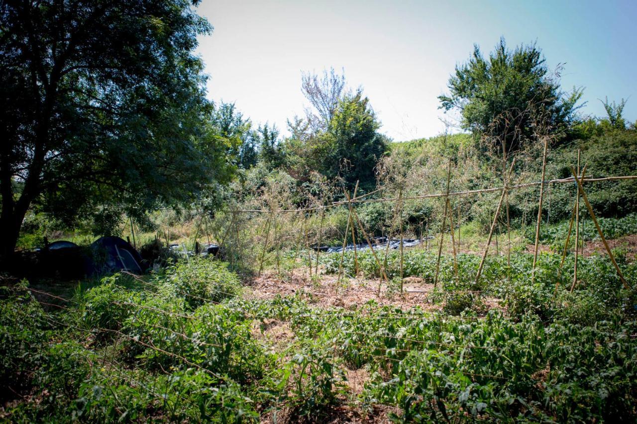 Tente En Permaculture Pirate Creysse  Екстер'єр фото
